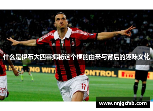 什么是伊布大四喜揭秘这个梗的由来与背后的趣味文化