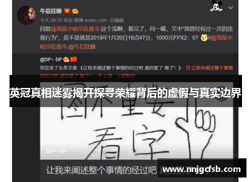 英冠真相迷雾揭开探寻荣耀背后的虚假与真实边界